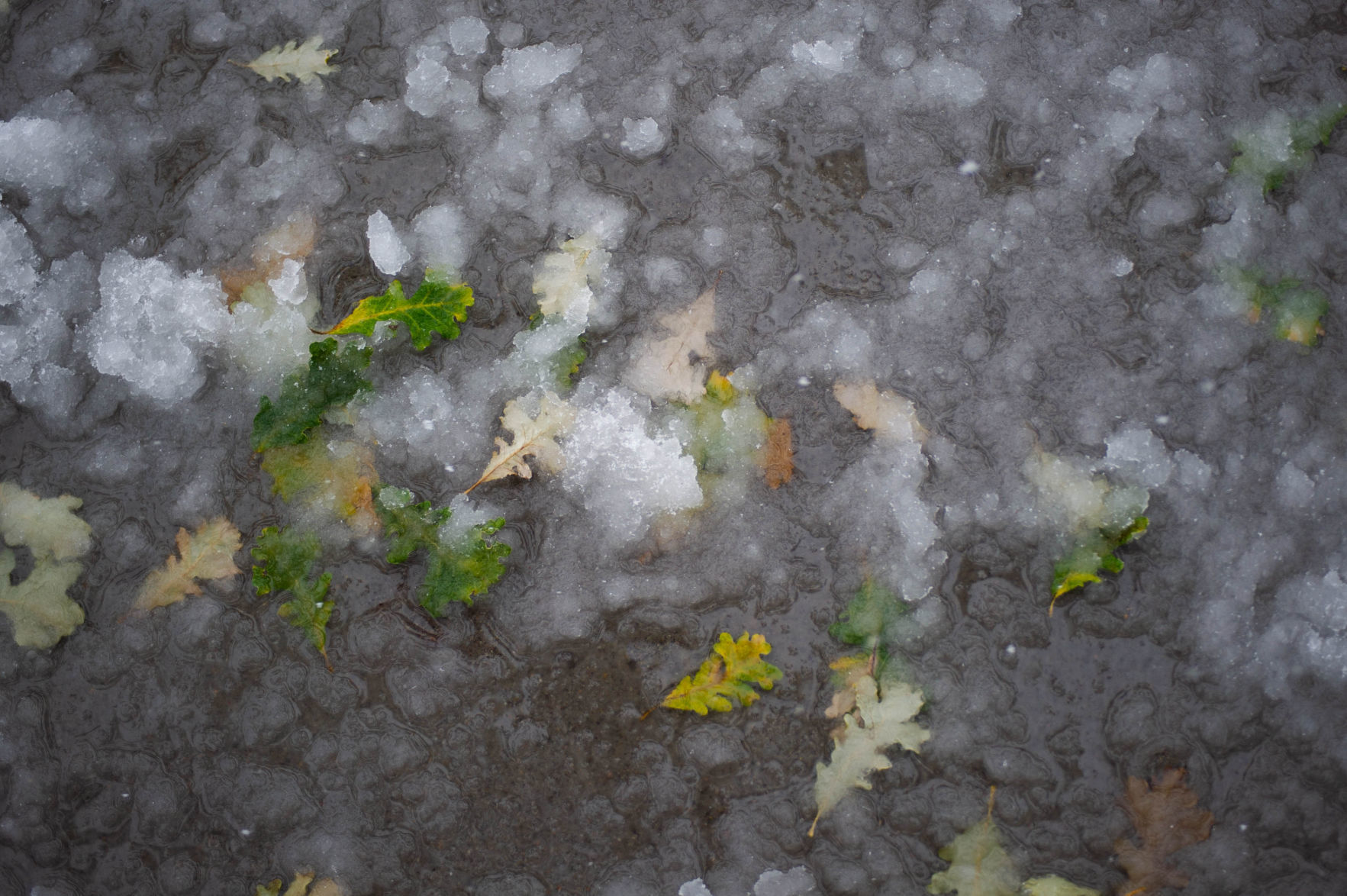 Snow features, 10/14